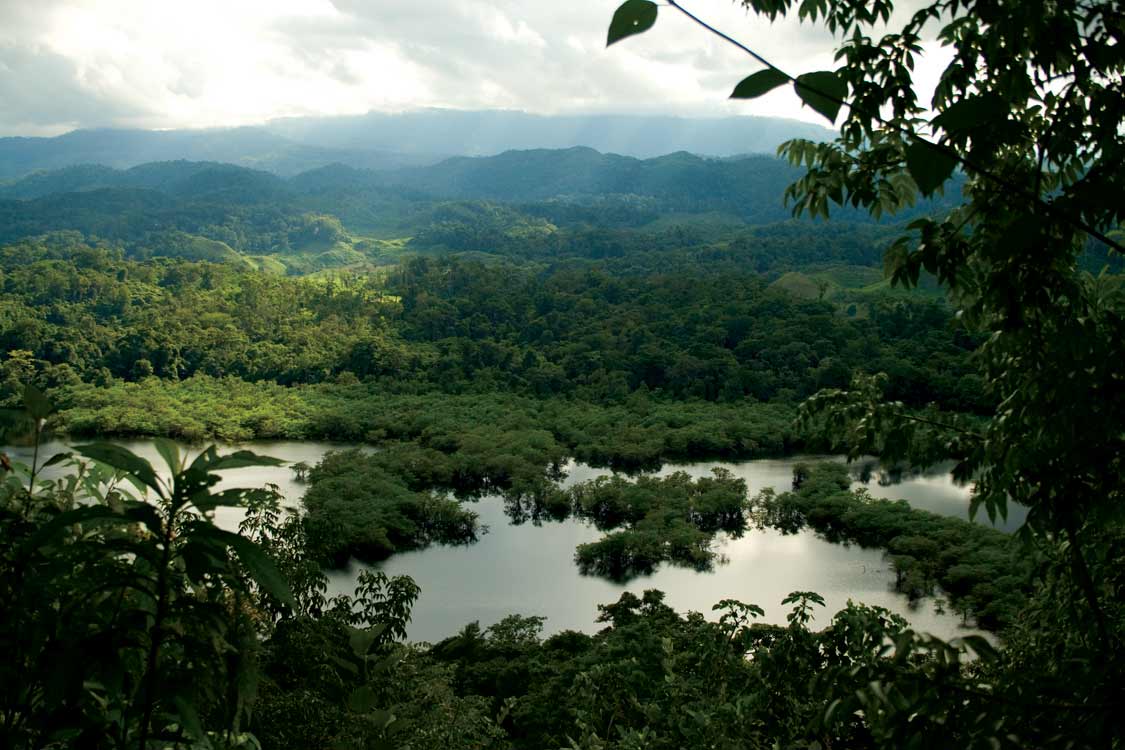 Areas Protegidas De Guatemala