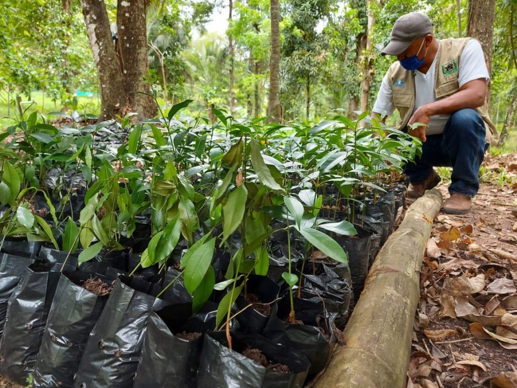 Áreas protegidas de Guatemala